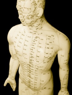 What is Acupuncture | Meridian man doll